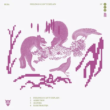 Feelings I Can't Explain by Buba - album cover
