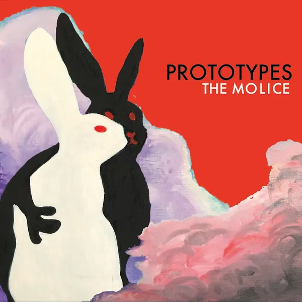 PROTOTYPES
