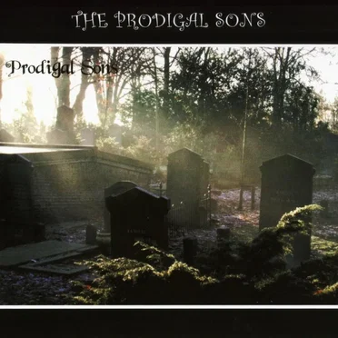 Emerge From the Void by The Prodigal Sons - album cover