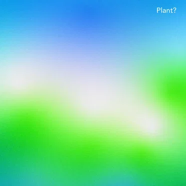 Plant?