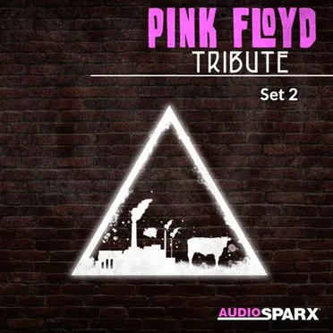 Pink Floyd Tribute, Set 2 by Various Artists - album cover