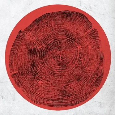 Q: Transient Global Amnesia