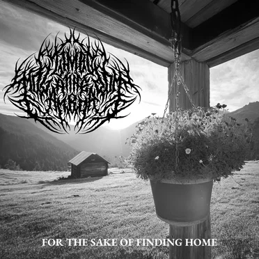 For the Sake of Finding Home