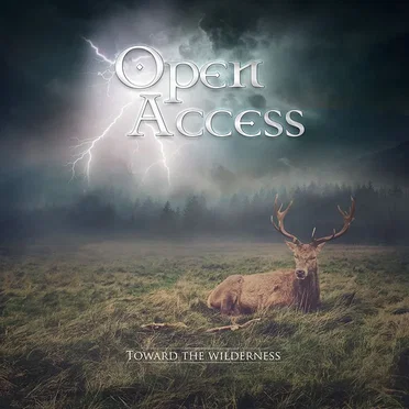 Toward the Wilderness