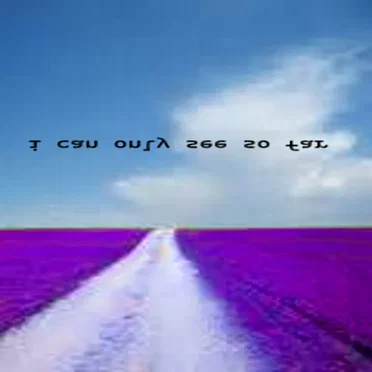 00000000000000000000000026