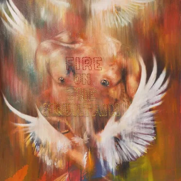 Fire on the Mountain by Harry Edohoukwa - album cover