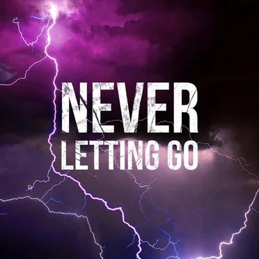 Never Letting Go by In Our Wake - album cover