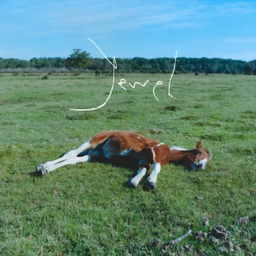 Jewel