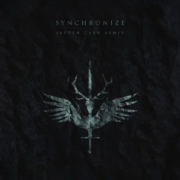 Synchronize (Jayden Carr Remix) by King of None - album cover