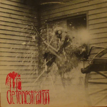 EP by Defenestration - album cover