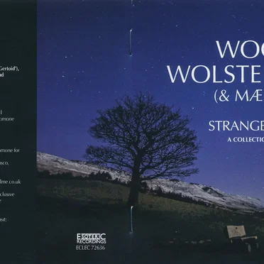Strange Worlds: Collection 1980–2010
