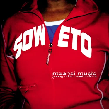 Mzansi Music: Young Urban South Africa by Various Artists - album cover