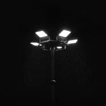 Tourist by Fragile Animals - album cover