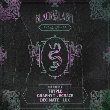 Black Friday, Vol. 24 by Various Artists - album cover