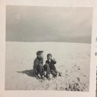 1945 by Bedbugs - album cover
