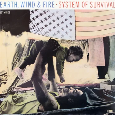 System of Survival