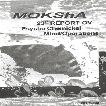 23rd Report Ov Psycho Chemickal Mind/Operations
