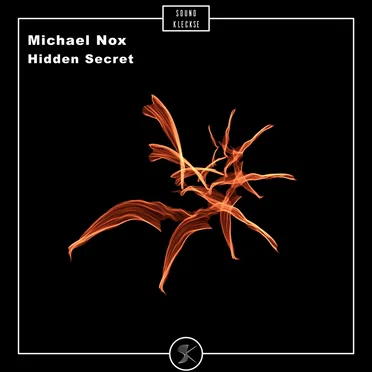 Hidden Secret by Michael Nox - album cover