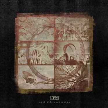Past Life Regression by ORBS - album cover