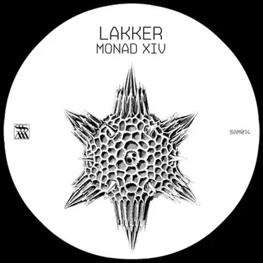 Monad XIV