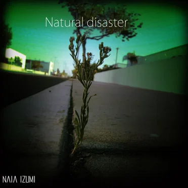 Natural Disaster