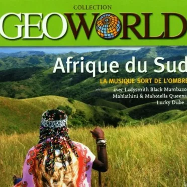 Afrique du sud : La Musique sort de l'ombre by Various Artists - album cover