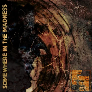 Somewhere in the Madness by Finkseye - album cover