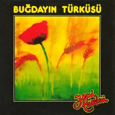 Buğdayın Türküsü by Yeni Türkü - album cover