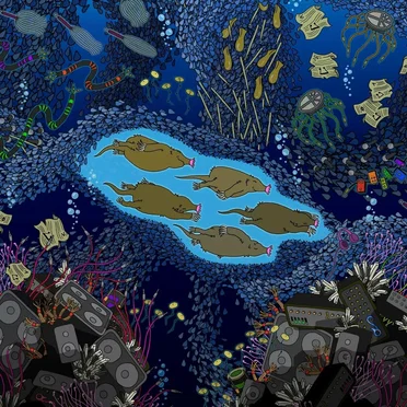Ocean Mole by Ocean Mole - album cover