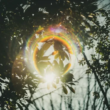 Supernova