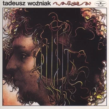 Odcień Ciszy by Tadeusz Woźniak - album cover