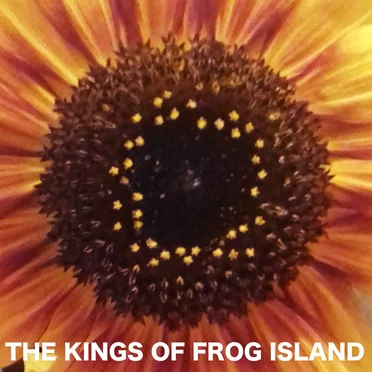 The Kings of Frog Island 6.5 by The Kings of Frog Island - album cover