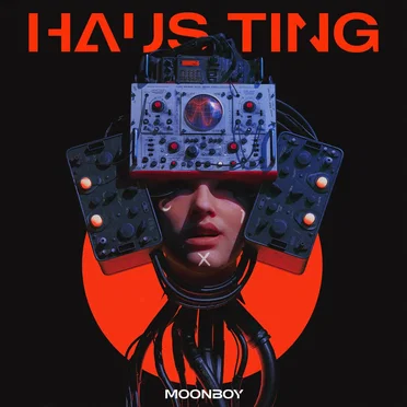 HAUS TING