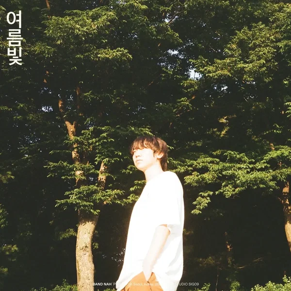 여름빛