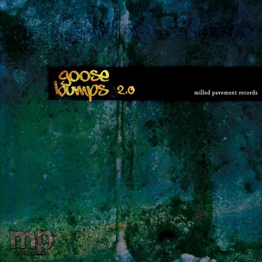 Goose Bumps 2.0 by Various Artists - album cover