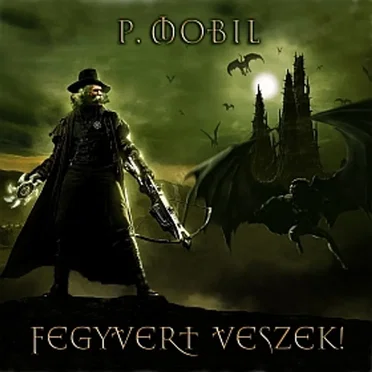 Fegyvert veszek