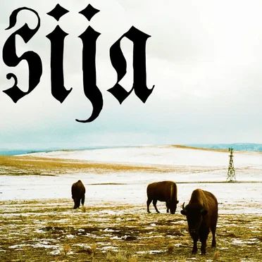 Sija 420/2019 by Sija - album cover