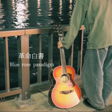 革命白書