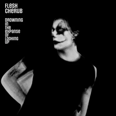 Drowning in the Expanse of Looking Up by Flesh Cherub - album cover