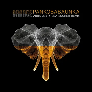 Pankobabaunka (Abra Jey & Lea Socher remix) by Orange - album cover