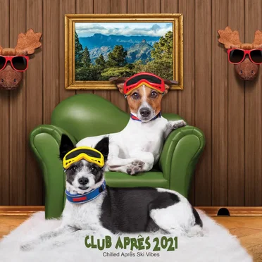 Club Aprês 2021: Chilled Aprês Ski Vibes by Various Artists - album cover