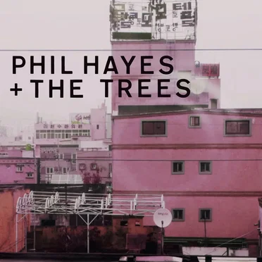 Blame Everyone by Phil Hayes + The Trees - album cover