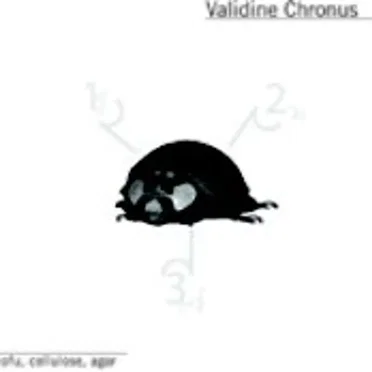 Tofu, Cellulose, Agar by Validine Chronus - album cover