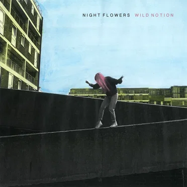 Wild Notion by Night Flowers - album cover