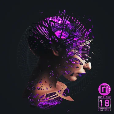 Intrigue 18: The Anniversary Collection by Various Artists - album cover