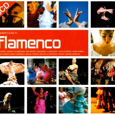 Beginner's Guide to Flamenco by Various Artists - album cover
