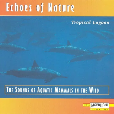 Echoes of Nature: Tropical Lagoon