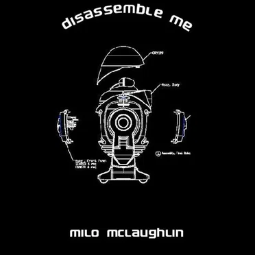 Disassemble Me by Milo McLaughlin - album cover