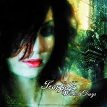 Wasted Days by Tearfall - album cover