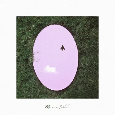 Mirror Field